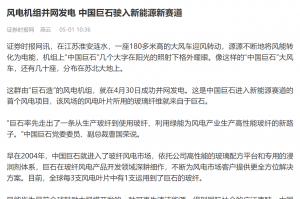 时报：风电机组并网发电 中国利来w66驶入新能源新赛道